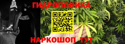 соль курить ск Гай
