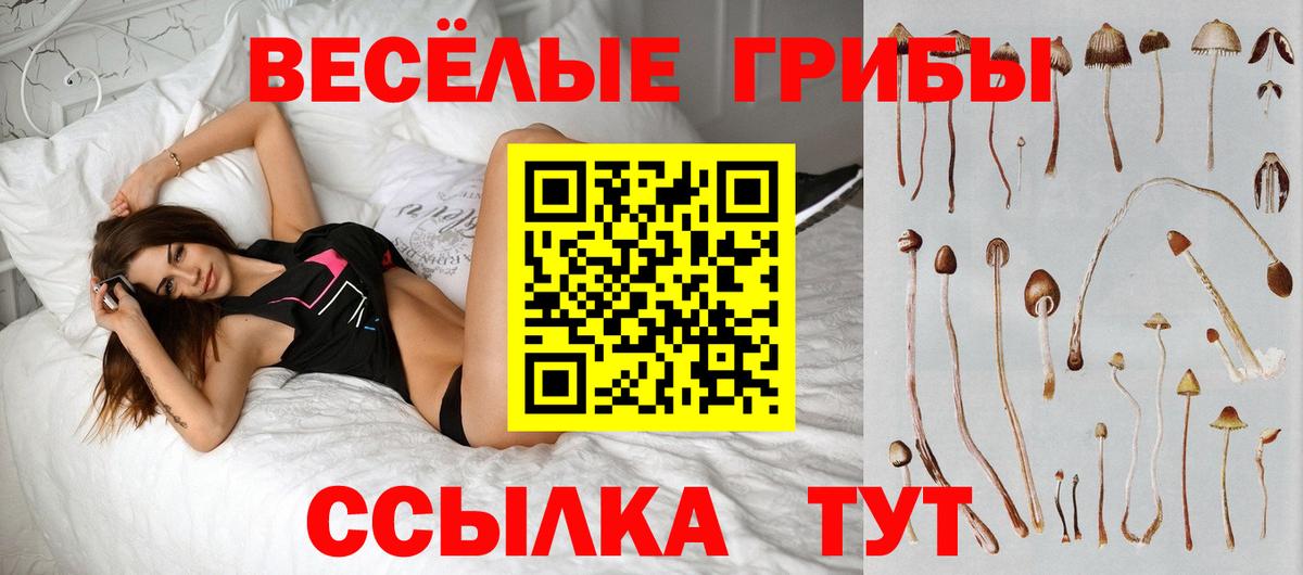 Псилоцибиновые грибы мицелий Валуйки