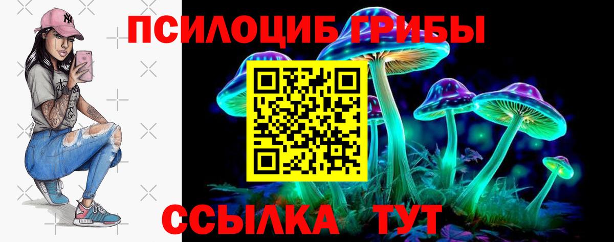 как найти закладки  Псилоцибиновые грибы GOLDEN TEACHER  Вход с VPN  Псилоцибиновые грибы Magic Shrooms  Валуйки 